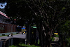 GP BRASILE, Yuki Tsunoda (JPN) AlphaTauri AT04.
05.11.2023. Formula 1 World Championship, Rd 21, Brazilian Grand Prix, Sao Paulo, Brazil, Gara Day.
 - www.xpbimages.com, EMail: requests@xpbimages.com © Copyright: Coates / XPB Images