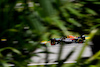 GP BRASILE, Max Verstappen (NLD) Red Bull Racing RB19.
04.11.2023. Formula 1 World Championship, Rd 21, Brazilian Grand Prix, Sao Paulo, Brazil, Sprint Day.
- www.xpbimages.com, EMail: requests@xpbimages.com © Copyright: Batchelor / XPB Images