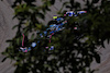 GP BRASILE, Pierre Gasly (FRA) Alpine F1 Team A523.
03.11.2023. Formula 1 World Championship, Rd 21, Brazilian Grand Prix, Sao Paulo, Brazil, Qualifiche Day.
- www.xpbimages.com, EMail: requests@xpbimages.com © Copyright: Charniaux / XPB Images