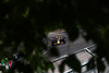 GP CANADA, Max Verstappen (NLD) Red Bull Racing RB19.
18.06.2023. Formula 1 World Championship, Rd 9, Canadian Grand Prix, Montreal, Canada, Gara Day.
 - www.xpbimages.com, EMail: requests@xpbimages.com © Copyright: Coates / XPB Images