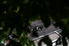 GP CANADA, Lewis Hamilton (GBR) Mercedes AMG F1 W14.
18.06.2023. Formula 1 World Championship, Rd 9, Canadian Grand Prix, Montreal, Canada, Gara Day.
 - www.xpbimages.com, EMail: requests@xpbimages.com © Copyright: Coates / XPB Images