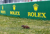 GP CANADA, Track Atmosphere, groundhog
15.06.2023. Formula 1 World Championship, Rd 9, Canadian Grand Prix, Montreal, Canada, Preparation Day.
- www.xpbimages.com, EMail: requests@xpbimages.com © Copyright: Charniaux / XPB Images
