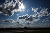GP GRAN BRETAGNA, Oscar Piastri (AUS), McLaren 
07.07.2023. Formula 1 World Championship, Rd 11, British Grand Prix, Silverstone, England, Practice Day.
- www.xpbimages.com, EMail: requests@xpbimages.com © Copyright: Charniaux / XPB Images