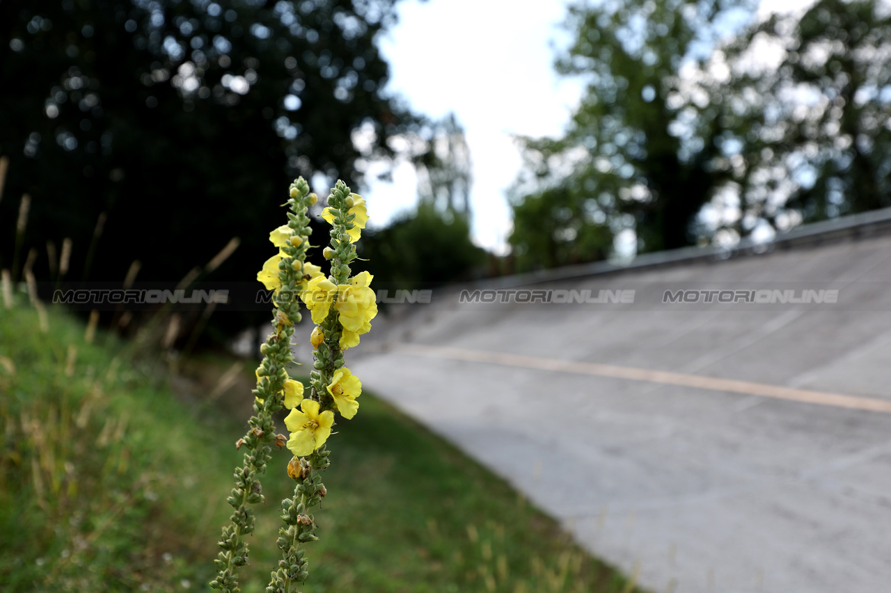 GP ITALIA, Circuit Atmosfera - old Monza banking.

31.08.2023. Formula 1 World Championship, Rd 15, Italian Grand Prix, Monza, Italy, Preparation Day.

- www.xpbimages.com, EMail: requests@xpbimages.com © Copyright: Moy / XPB Images