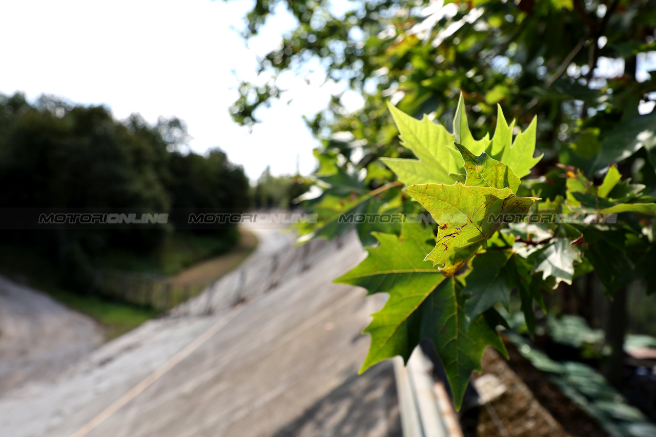 GP ITALIA, Circuit Atmosfera - old Monza banking.

31.08.2023. Formula 1 World Championship, Rd 15, Italian Grand Prix, Monza, Italy, Preparation Day.

- www.xpbimages.com, EMail: requests@xpbimages.com © Copyright: Moy / XPB Images