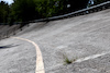 GP ITALIA, Circuit Atmosfera - old Monza banking.
31.08.2023. Formula 1 World Championship, Rd 15, Italian Grand Prix, Monza, Italy, Preparation Day.
- www.xpbimages.com, EMail: requests@xpbimages.com © Copyright: Moy / XPB Images