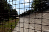 GP ITALIA, Circuit Atmosfera - old Monza banking.
31.08.2023. Formula 1 World Championship, Rd 15, Italian Grand Prix, Monza, Italy, Preparation Day.
- www.xpbimages.com, EMail: requests@xpbimages.com © Copyright: Moy / XPB Images