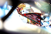 GP MESSICO, Pierre Gasly (FRA) Alpine F1 Team A523.
27.10.2023. Formula 1 World Championship, Rd 20, Mexican Grand Prix, Mexico City, Mexico, Practice Day.
- www.xpbimages.com, EMail: requests@xpbimages.com © Copyright: Bearne / XPB Images
