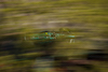 GP MONACO, Fernando Alonso (ESP) Aston Martin F1 Team AMR23.
26.05.2023. Formula 1 World Championship, Rd 7, Monaco Grand Prix, Monte Carlo, Monaco, Practice Day.
- www.xpbimages.com, EMail: requests@xpbimages.com ¬© Copyright: Bearne / XPB Images
