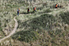 GP OLANDA, Circuit Atmosfera - fans in the dunes.
25.08.2023. Formula 1 World Championship, Rd 14, Dutch Grand Prix, Zandvoort, Netherlands, Practice Day.
- www.xpbimages.com, EMail: requests@xpbimages.com © Copyright: Moy / XPB Images