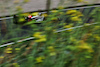GP OLANDA, Kevin Magnussen (DEN) Haas VF-23.
25.08.2023. Formula 1 World Championship, Rd 14, Dutch Grand Prix, Zandvoort, Netherlands, Practice Day.
 - www.xpbimages.com, EMail: requests@xpbimages.com © Copyright: Coates / XPB Images