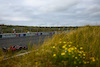 GP OLANDA, Valtteri Bottas (FIN), Alfa Romeo Racing 
25.08.2023. Formula 1 World Championship, Rd 14, Dutch Grand Prix, Zandvoort, Netherlands, Practice Day.
- www.xpbimages.com, EMail: requests@xpbimages.com © Copyright: Charniaux / XPB Images