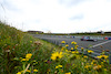 GP OLANDA, Pierre Gasly (FRA), Alpine F1 Team 
25.08.2023. Formula 1 World Championship, Rd 14, Dutch Grand Prix, Zandvoort, Netherlands, Practice Day.
- www.xpbimages.com, EMail: requests@xpbimages.com © Copyright: Charniaux / XPB Images