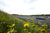 GP OLANDA, Alex Albon (THA), Williams F1 Team 
25.08.2023. Formula 1 World Championship, Rd 14, Dutch Grand Prix, Zandvoort, Netherlands, Practice Day.
- www.xpbimages.com, EMail: requests@xpbimages.com © Copyright: Charniaux / XPB Images
