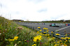 GP OLANDA, Fernando Alonso (ESP), Aston Martin Racing 
25.08.2023. Formula 1 World Championship, Rd 14, Dutch Grand Prix, Zandvoort, Netherlands, Practice Day.
- www.xpbimages.com, EMail: requests@xpbimages.com © Copyright: Charniaux / XPB Images