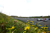 GP OLANDA, Yuki Tsunoda (JPN), Scuderia Alpha Tauri 
25.08.2023. Formula 1 World Championship, Rd 14, Dutch Grand Prix, Zandvoort, Netherlands, Practice Day.
- www.xpbimages.com, EMail: requests@xpbimages.com © Copyright: Charniaux / XPB Images