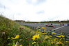 GP OLANDA, Lando Norris (GBR), McLaren F1 Team 
25.08.2023. Formula 1 World Championship, Rd 14, Dutch Grand Prix, Zandvoort, Netherlands, Practice Day.
- www.xpbimages.com, EMail: requests@xpbimages.com © Copyright: Charniaux / XPB Images