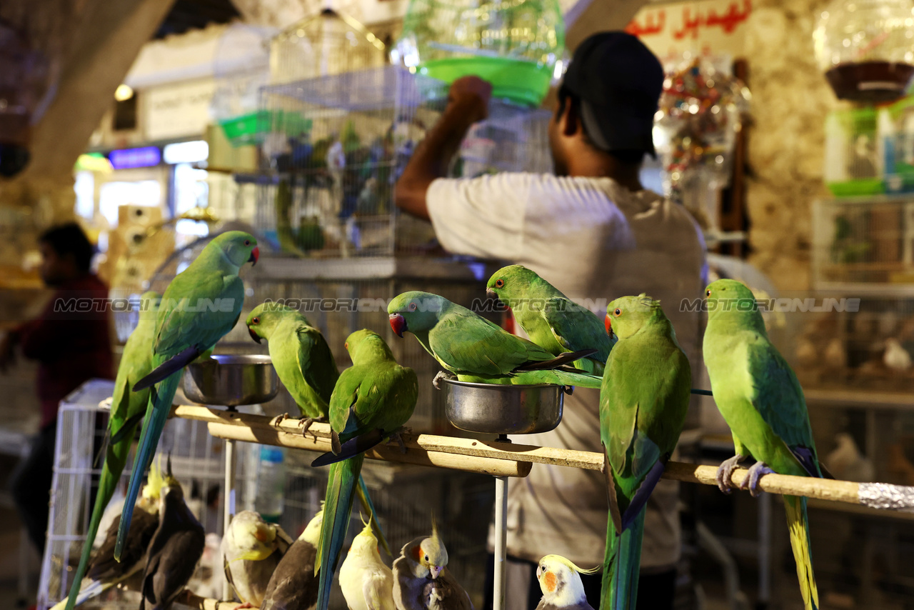 GP QATAR, Doha Atmosfera - Souq Waqif -  marketplace. 

05.10.2023. Formula 1 World Championship, Rd 18, Qatar Grand Prix, Doha, Qatar, Preparation Day.

- www.xpbimages.com, EMail: requests@xpbimages.com © Copyright: Moy / XPB Images