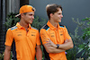 GP SINGAPORE, (L to R): Lando Norris (GBR) McLaren with team mate Oscar Piastri (AUS) McLaren.
14.09.2023. Formula 1 World Championship, Rd 16, Singapore Grand Prix, Marina Bay Street Circuit, Singapore, Preparation Day.
- www.xpbimages.com, EMail: requests@xpbimages.com © Copyright: Moy / XPB Images