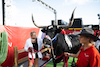 GP STATI UNITI, Paddock Atmosfera - a longhorn cow.
22.10.2023. Formula 1 World Championship, Rd 19, United States Grand Prix, Austin, Texas, USA, Gara Day.
- www.xpbimages.com, EMail: requests@xpbimages.com © Copyright: Price / XPB Images