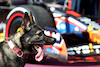 GP STATI UNITI, A dog at parc ferme.
22.10.2023. Formula 1 World Championship, Rd 19, United States Grand Prix, Austin, Texas, USA, Gara Day.
 - www.xpbimages.com, EMail: requests@xpbimages.com © Copyright: Rew / XPB Images