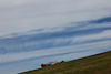 GP STATI UNITI, Lando Norris (GBR) McLaren MCL60.
21.10.2023. Formula 1 World Championship, Rd 19, United States Grand Prix, Austin, Texas, USA, Sprint Day.
 - www.xpbimages.com, EMail: requests@xpbimages.com © Copyright: Coates / XPB Images