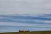 GP STATI UNITI, Oscar Piastri (AUS) McLaren MCL60.
21.10.2023. Formula 1 World Championship, Rd 19, United States Grand Prix, Austin, Texas, USA, Sprint Day.
 - www.xpbimages.com, EMail: requests@xpbimages.com © Copyright: Coates / XPB Images
