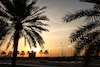 TEST ABU DHABI, Yuki Tsunoda (JPN) AlphaTauri AT04.
28.11.2023. Formula 1 Testing, Yas Marina Circuit, Abu Dhabi, Tuesday.
- www.xpbimages.com, EMail: requests@xpbimages.com © Copyright: Moy / XPB Images