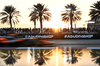 GP ABU DHABI, Lando Norris (GBR) McLaren MCL38.

08.12.2024. Formula 1 World Championship, Rd 24, Abu Dhabi Grand Prix, Yas Marina Circuit, Abu Dhabi, Gara Day.

- www.xpbimages.com, EMail: requests@xpbimages.com © Copyright: Price / XPB Images