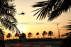 GP ABU DHABI, Circuit Atmosfera - sunset.

06.12.2024. Formula 1 World Championship, Rd 24, Abu Dhabi Grand Prix, Yas Marina Circuit, Abu Dhabi, Practice Day.

- www.xpbimages.com, EMail: requests@xpbimages.com © Copyright: Charniaux / XPB Images