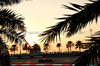 GP ABU DHABI, Sergio Perez (MEX) Red Bull Racing RB20.

06.12.2024. Formula 1 World Championship, Rd 24, Abu Dhabi Grand Prix, Yas Marina Circuit, Abu Dhabi, Practice Day.

- www.xpbimages.com, EMail: requests@xpbimages.com © Copyright: Charniaux / XPB Images