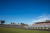 GP AUSTRALIA, Esteban Ocon (FRA) Alpine F1 Team A524.
24.03.2024. Formula 1 World Championship, Rd 3, Australian Grand Prix, Albert Park, Melbourne, Australia, Gara Day.
- www.xpbimages.com, EMail: requests@xpbimages.com © Copyright: Bearne / XPB Images