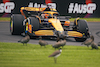 GP AUSTRALIA, Oscar Piastri (AUS) McLaren MCL38.
23.03.2024. Formula 1 World Championship, Rd 3, Australian Grand Prix, Albert Park, Melbourne, Australia, Qualifiche Day.
- www.xpbimages.com, EMail: requests@xpbimages.com © Copyright: Bearne / XPB Images