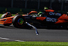 GP AUSTRALIA, Lando Norris (GBR) McLaren MCL38 passes a bird.
22.03.2024. Formula 1 World Championship, Rd 3, Australian Grand Prix, Albert Park, Melbourne, Australia, Practice Day.
- www.xpbimages.com, EMail: requests@xpbimages.com © Copyright: Moy / XPB Images