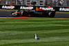 GP AUSTRALIA, Sergio Perez (MEX) Red Bull Racing RB20 passes a bird.
22.03.2024. Formula 1 World Championship, Rd 3, Australian Grand Prix, Albert Park, Melbourne, Australia, Practice Day.
- www.xpbimages.com, EMail: requests@xpbimages.com © Copyright: Moy / XPB Images