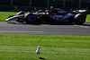 GP AUSTRALIA, Esteban Ocon (FRA) Alpine F1 Team A524 passes a bird.
22.03.2024. Formula 1 World Championship, Rd 3, Australian Grand Prix, Albert Park, Melbourne, Australia, Practice Day.
- www.xpbimages.com, EMail: requests@xpbimages.com © Copyright: Moy / XPB Images