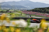 GP AUSTRIA, Sergio Perez (MEX) Red Bull Racing RB20.

30.06.2024. Formula 1 World Championship, Rd 11, Austrian Grand Prix, Spielberg, Austria, Gara Day.

- www.xpbimages.com, EMail: requests@xpbimages.com © Copyright: Bearne / XPB Images