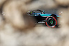 GP BAHRAIN, Lewis Hamilton (GBR) Mercedes AMG F1 W15.
01.03.2024. Formula 1 World Championship, Rd 1, Bahrain Grand Prix, Sakhir, Bahrain, Qualifiche Day.
- www.xpbimages.com, EMail: requests@xpbimages.com © Copyright: Bearne / XPB Images