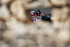 GP BAHRAIN, Esteban Ocon (FRA) Alpine F1 Team A524.
01.03.2024. Formula 1 World Championship, Rd 1, Bahrain Grand Prix, Sakhir, Bahrain, Qualifiche Day.
- www.xpbimages.com, EMail: requests@xpbimages.com © Copyright: Bearne / XPB Images