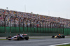 GP BRASILE, Liam Lawson (NZL) RB VCARB 01.

03.11.2024. Formula 1 World Championship, Rd 21, Brazilian Grand Prix, Sao Paulo, Brazil, Gara Day.

 - www.xpbimages.com, EMail: requests@xpbimages.com © Copyright: Coates / XPB Images