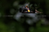 GP CANADA, Sergio Perez (MEX) Red Bull Racing RB20.

07.06.2024. Formula 1 World Championship, Rd 9, Canadian Grand Prix, Montreal, Canada, Practice Day.

- www.xpbimages.com, EMail: requests@xpbimages.com © Copyright: Charniaux / XPB Images