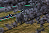 GP GIAPPONE, Esteban Ocon (FRA) Alpine F1 Team A524.
07.04.2024. Formula 1 World Championship, Rd 4, Japanese Grand Prix, Suzuka, Japan, Gara Day.
- www.xpbimages.com, EMail: requests@xpbimages.com © Copyright: Charniaux / XPB Images