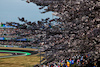 GP GIAPPONE, Kevin Magnussen (DEN) Haas VF-24.
07.04.2024. Formula 1 World Championship, Rd 4, Japanese Grand Prix, Suzuka, Japan, Gara Day.
- www.xpbimages.com, EMail: requests@xpbimages.com © Copyright: Charniaux / XPB Images