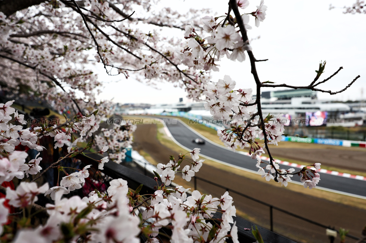 GP GIAPPONE, Circuit Atmosfera - blossom trackside.

05.04.2024. Formula 1 World Championship, Rd 4, Japanese Grand Prix, Suzuka, Japan, Practice Day.

- www.xpbimages.com, EMail: requests@xpbimages.com © Copyright: Moy / XPB Images