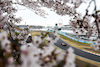 GP GIAPPONE, Charles Leclerc (MON) Ferrari SF-24.
05.04.2024. Formula 1 World Championship, Rd 4, Japanese Grand Prix, Suzuka, Japan, Practice Day.
- www.xpbimages.com, EMail: requests@xpbimages.com © Copyright: Moy / XPB Images