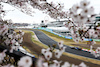 GP GIAPPONE, Alexander Albon (THA) Williams Racing FW46.
05.04.2024. Formula 1 World Championship, Rd 4, Japanese Grand Prix, Suzuka, Japan, Practice Day.
- www.xpbimages.com, EMail: requests@xpbimages.com © Copyright: Moy / XPB Images