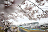 GP GIAPPONE, Valtteri Bottas (FIN) Sauber C44.
05.04.2024. Formula 1 World Championship, Rd 4, Japanese Grand Prix, Suzuka, Japan, Practice Day.
- www.xpbimages.com, EMail: requests@xpbimages.com © Copyright: Moy / XPB Images