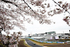 GP GIAPPONE, Zhou Guanyu (CHN) Sauber C44.
05.04.2024. Formula 1 World Championship, Rd 4, Japanese Grand Prix, Suzuka, Japan, Practice Day.
- www.xpbimages.com, EMail: requests@xpbimages.com © Copyright: Moy / XPB Images