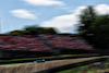 GP IMOLA, Lance Stroll (CDN) Aston Martin F1 Team AMR24.
18.05.2024. Formula 1 World Championship, Rd 7, Emilia Romagna Grand Prix, Imola, Italy, Qualifiche Day.
 - www.xpbimages.com, EMail: requests@xpbimages.com © Copyright: Coates / XPB Images