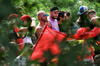 GP ITALIA, Circuit Atmosfera - fans.

01.09.2024. Formula 1 World Championship, Rd 16, Italian Grand Prix, Monza, Italy, Gara Day.

 - www.xpbimages.com, EMail: requests@xpbimages.com © Copyright: Coates / XPB Images